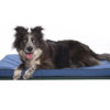 Water resistant mattresses for dogs