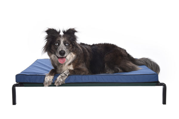Water resistant mattresses for dogs