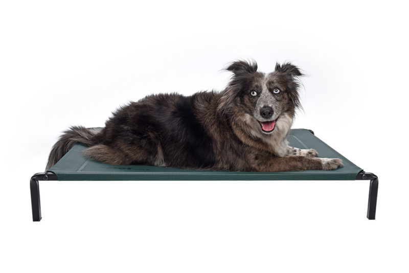 dogs-love-our-extra-comfy-premium-durable-flea-free-pets-beds