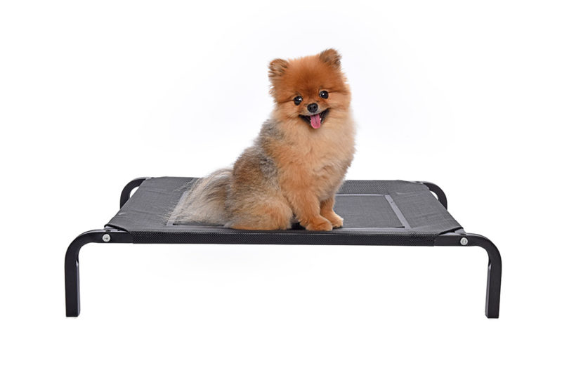 fonzo-relaxes-flat-pack-assembly-bed-flea-free-dog-beds